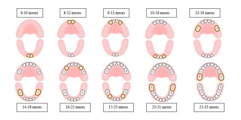 denticion-en-bebes-clinica-dental-manresa